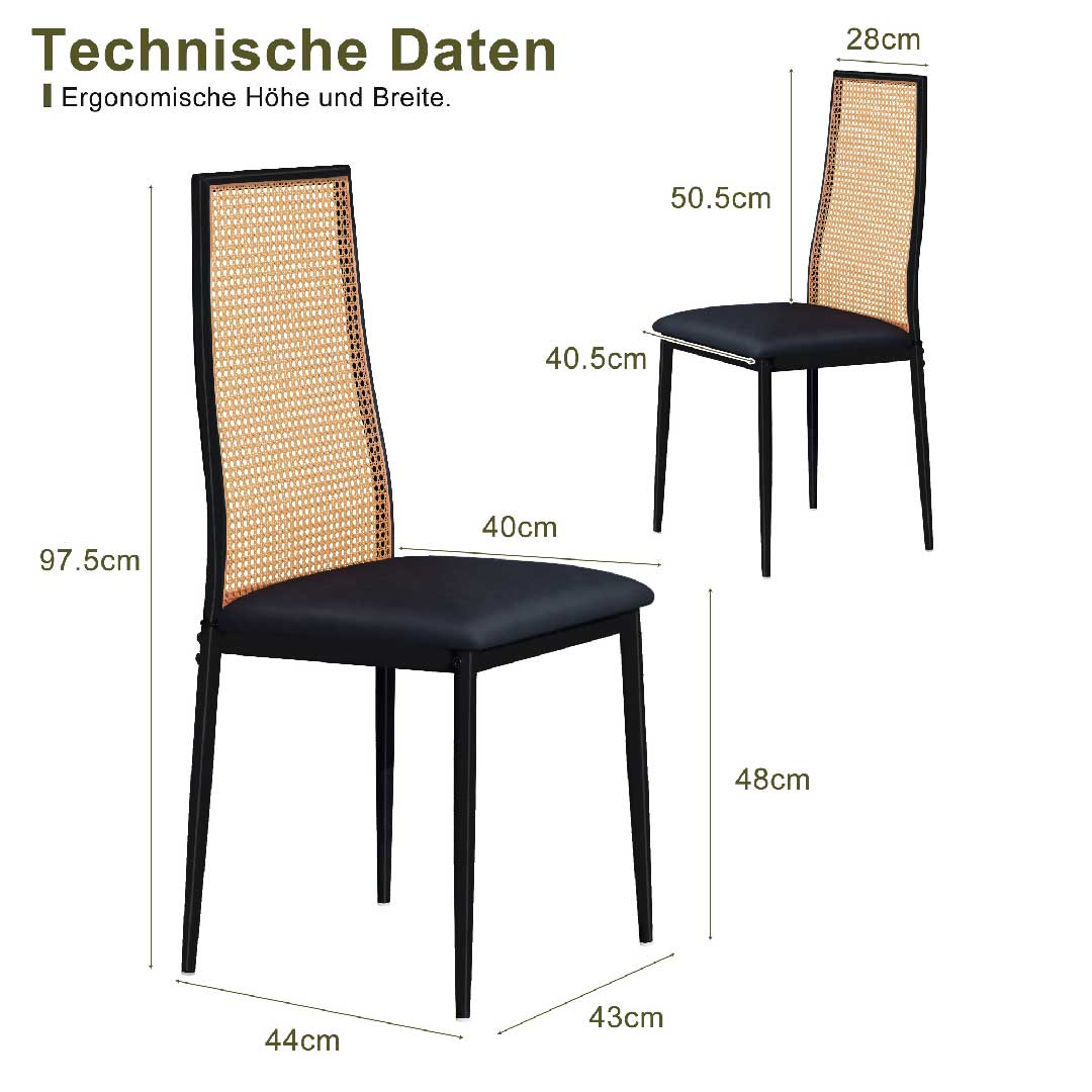 Yelenaro Rattan Esszimmerstühle 2er Set – gepolstert, Schwarz